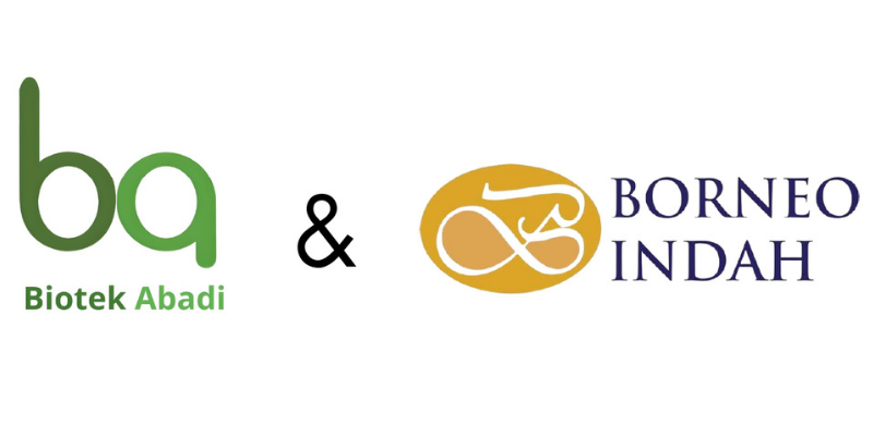bio x bormneo